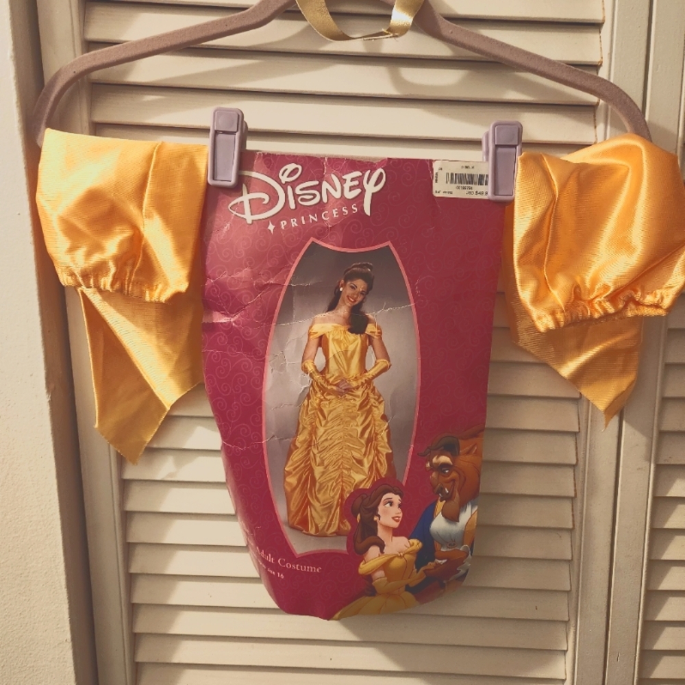 COPY - Beauty and the Beast Halloween costume